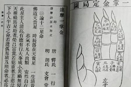 一掌算命