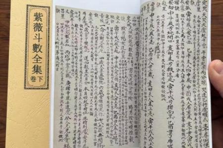 紫薇斗数文章