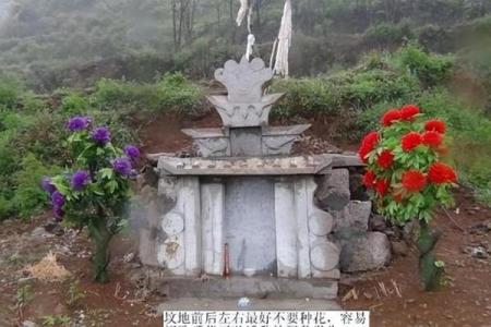 墓地迁移注意事项，别毁好风水