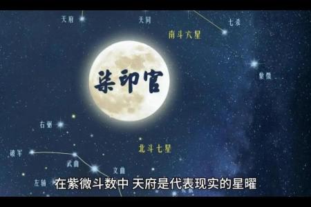紫薇斗数财帛6