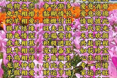姓名婚姻测试配对三藏 姓名测姻缘 免费测试？