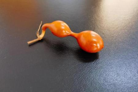 不同材质的葫芦在风水上差别什么材质最旺宅