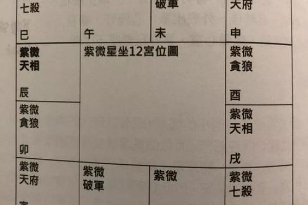 紫薇斗数金星
