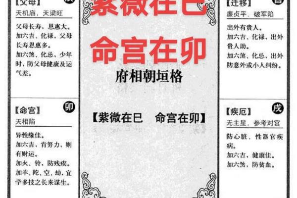 博士紫微斗数 紫微斗数 命宫 博士？