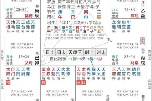 倪海厦紫薇斗数在线排盘