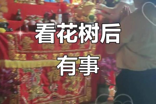 民间看花树算命是违法吗