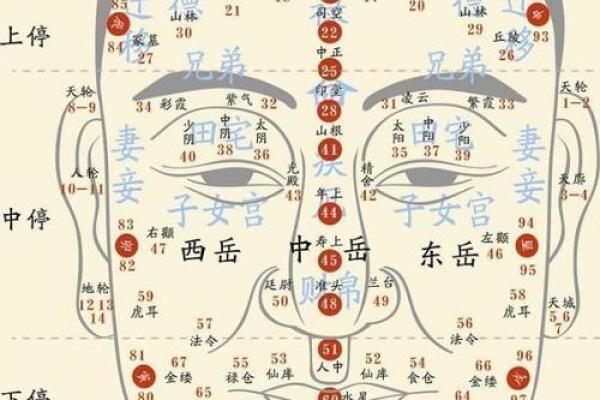 民间面相算命顺口溜