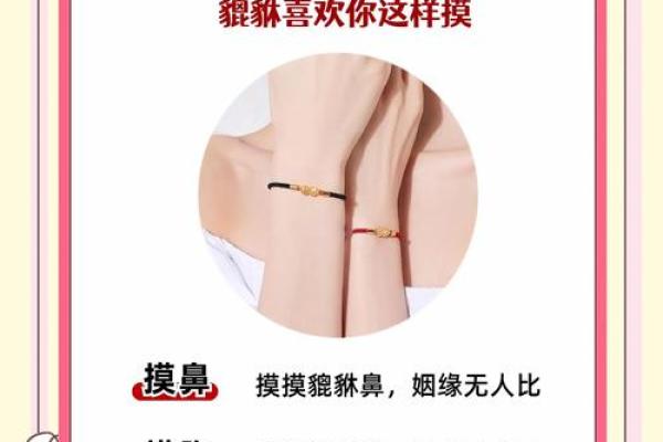 风水怀孕的女人可以佩戴貔貅吗会有什么后果