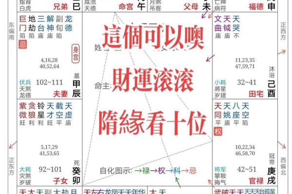 免费查紫薇星盘入宫是什么意思