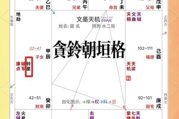 紫薇斗数特殊格局
