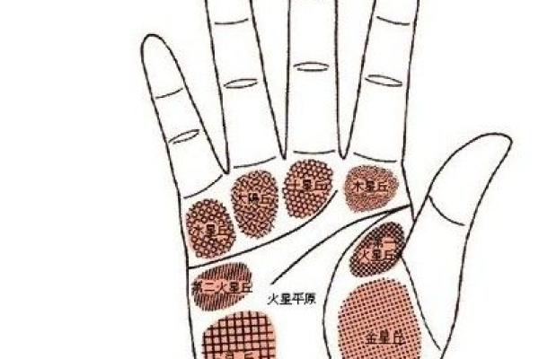 手相-掌丘算命图解