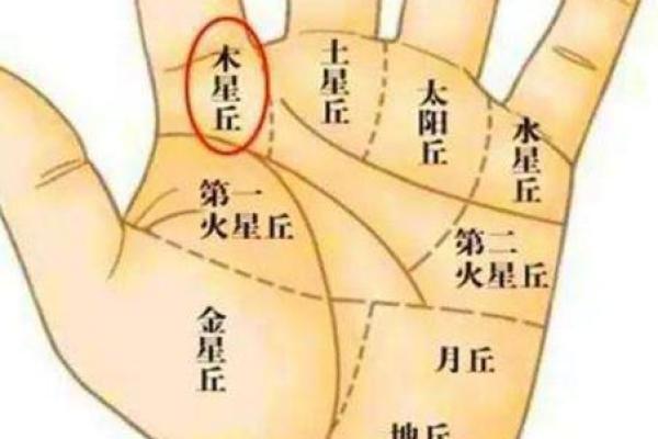 手相-掌丘算命图解