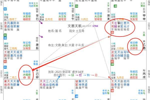 紫薇斗数精成十二