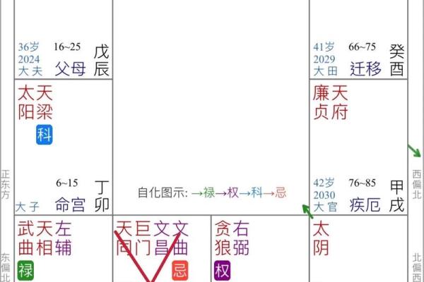紫薇斗数命四化流年