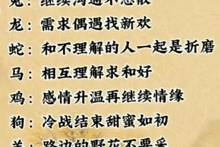 八字不配