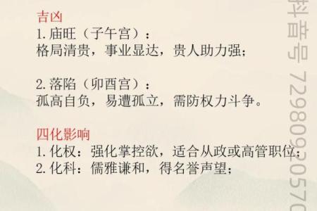 紫薇斗数飞入星
