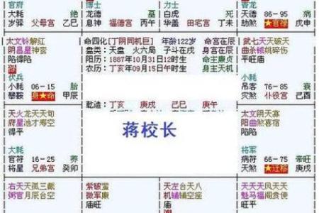 包含紫薇斗数菜鸟入门的词条