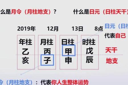 音乐的八字