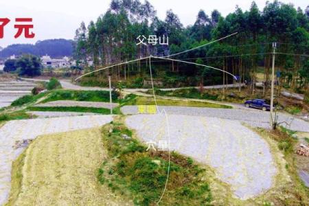 墓地风水坟地里埋什么旺家风水