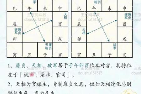 紫薇斗数福荫格