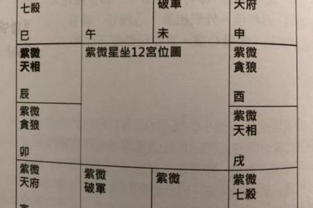 紫薇斗数金星