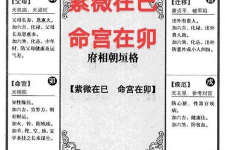 博士紫微斗数 紫微斗数 命宫 博士？