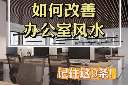 办公室装修风水很多老板都会忽略 赶紧给你的老板献上一计