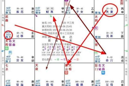 网上紫薇斗数不准