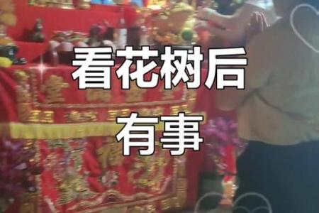 民间看花树算命是违法吗