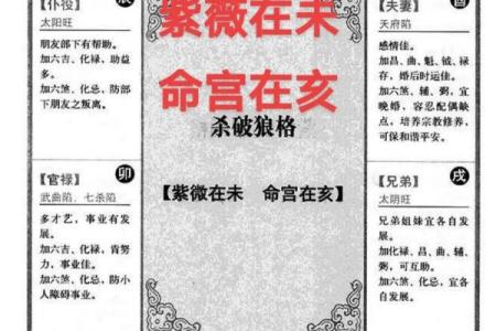 紫薇斗数紫薇独坐