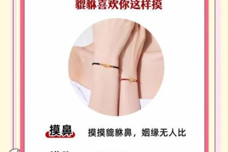 风水怀孕的女人可以佩戴貔貅吗会有什么后果