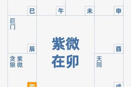 国学紫微斗数是考试内容吗 紫微斗数是国学文化？