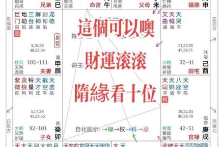 免费查紫薇星盘入宫是什么意思