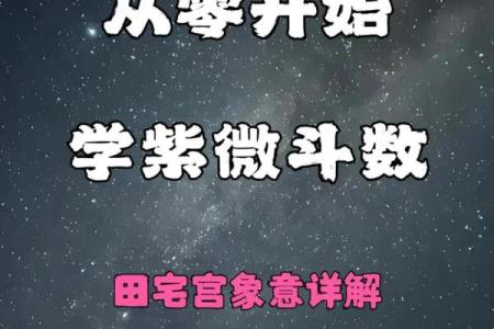紫薇斗数算法