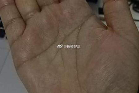 小指短的手相算命