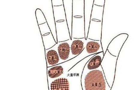 手相-掌丘算命图解