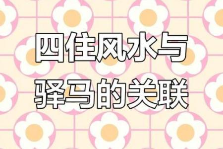 风水男人带驿马好不好什么意思