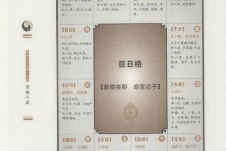 紫微斗数变易 紫微斗数爆发格局？