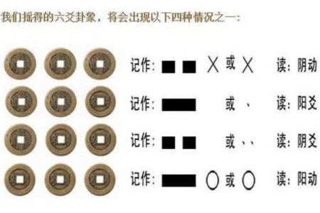 乌龟灵签