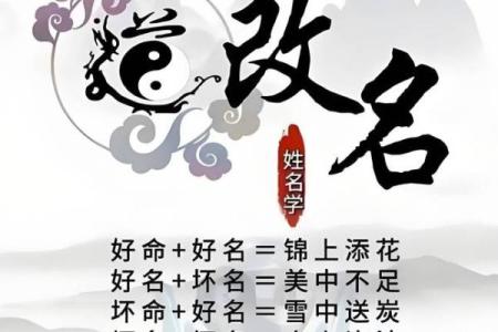 起名网测名,免费取名网生辰八字起名