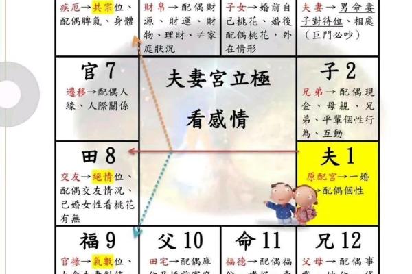 紫微斗数排盘