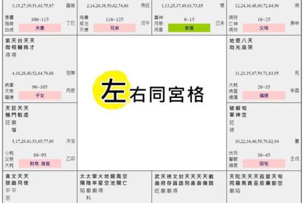 紫薇斗数星男女