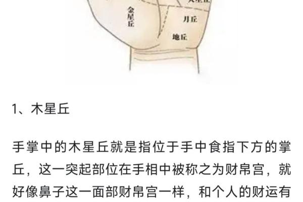 看手相算命图解：掌线