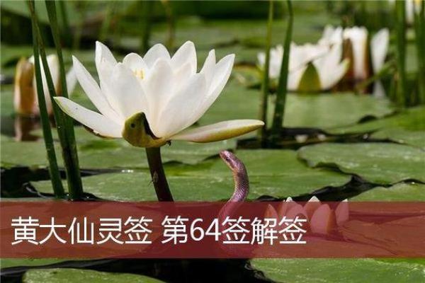 黄大仙灵签解签46