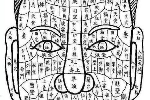 命里没有夫星的女人 八字女命看夫星