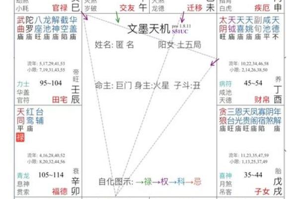 紫薇斗数解读，廉贞贪狼性格解读