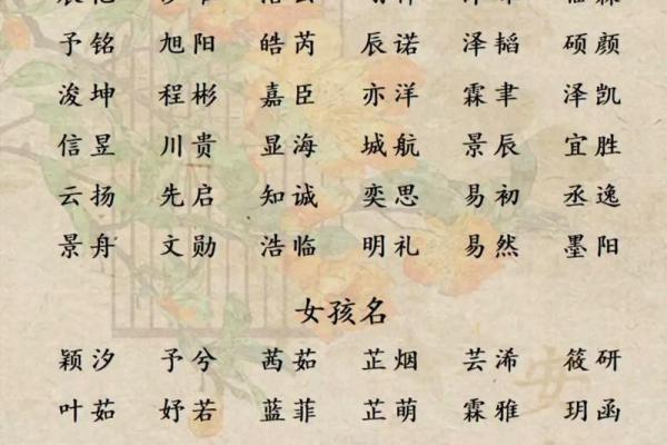 算八字起名