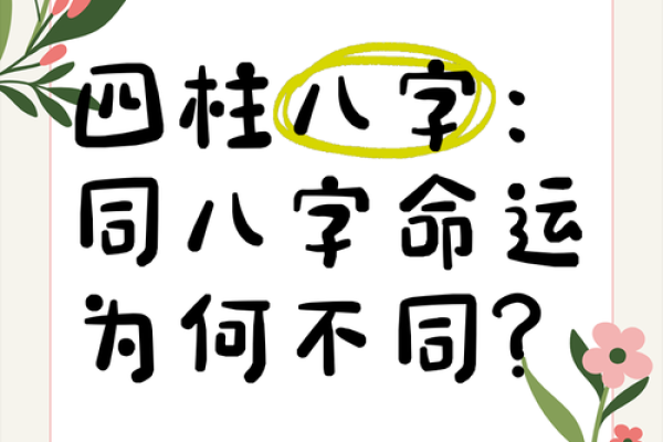 身边八字相同命运不同