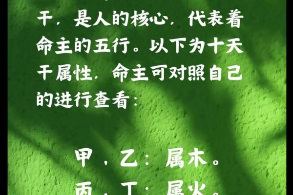 生辰八字评论