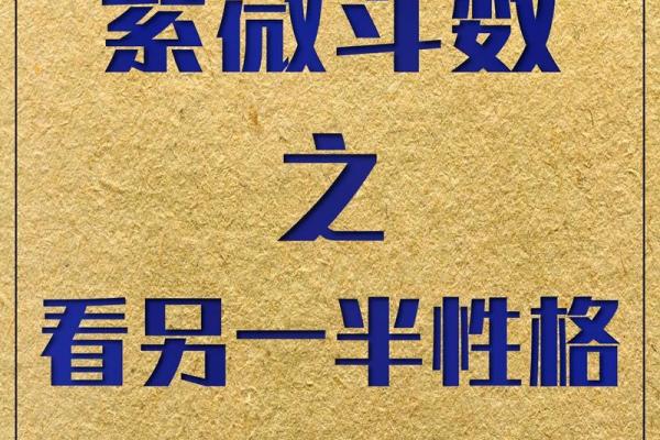怎么在紫薇斗数里看未来老公样貌
